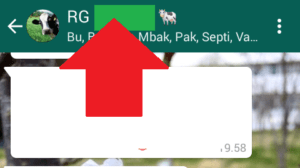 Cara Membuat Link Grup Whatsapp Agar Mudah Dibagikan 4 Cara Membuat Link Grup Whatsapp Agar Mudah Dibagikan 3
