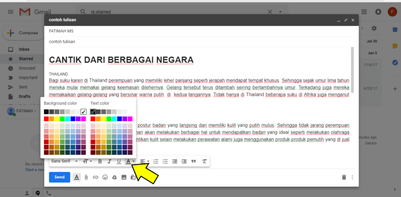 Pilihan format warna gmail di destop