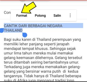 Cara menampilkan menu format