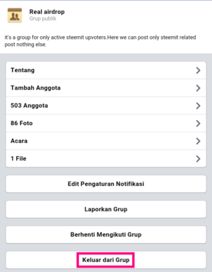 Laman informasi grup