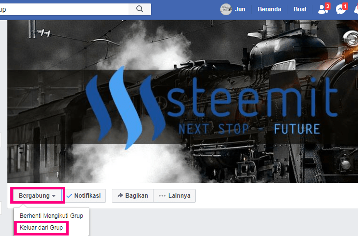 Laman grup