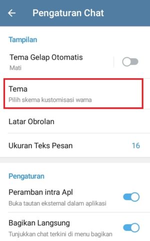 Memilih "Tema" untuk mengubah pengaturan tema