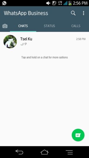 Laman chat whatsapp bisnis