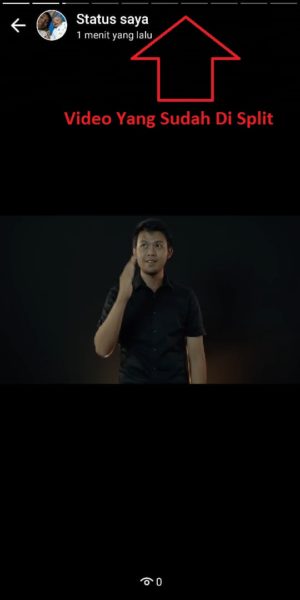 status video