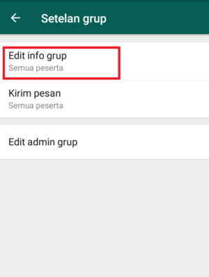 Cara mencegah anggota mengganti info grup di whatsapp 4 masuk opsi edit info group