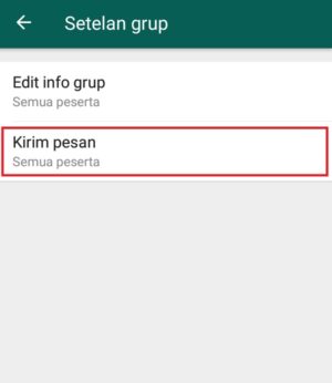 Cara membuat grup whatsapp 11 Pilih "Kirim pesan" untuk mengatur siapa yang dapat mengirim pesan kedalam grup