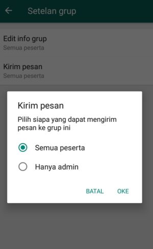 Cara membuat grup whatsapp 12 Jika hanya ingin kamu yang dapat mengirim pesan ke grup, maka pilih “Hanya admin”