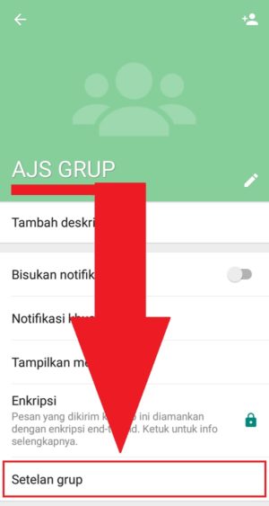 Cara membuat grup whatsapp 8 Pilih "Setelan grup" untuk masuk ke pengaturan