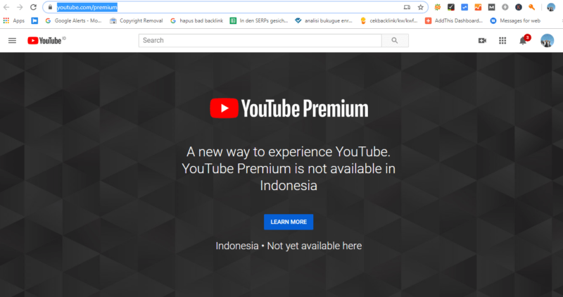Apa Itu Youtube Premium ? Perlu Bayar Berapa? - Bukugue.com
