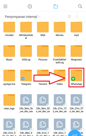 masuk ke folder whatsapp