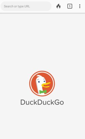 Antarmuka DuckDuckGo Browser