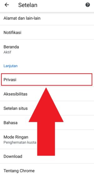 Pilih "privasi" untuk mencari data penjelajahan