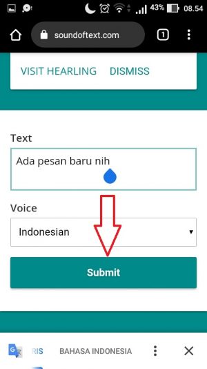 Cara Membuat Notifikasi Pesan Masuk Suara Google Di WhatsApp (Update 2023) 25