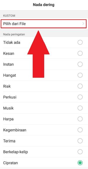 Pilih "Pilih dari file" untuk memilih nada dering yang sudah berhasil di download tadi