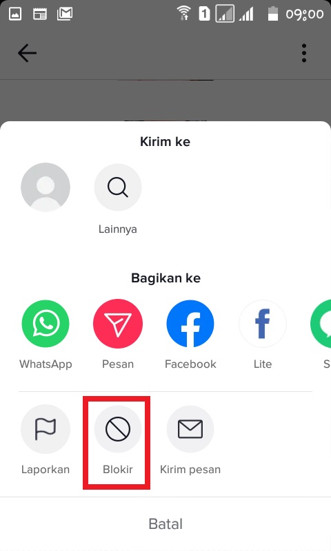 Cara Membatasi Konten Tiktok Untuk Anak - Bukugue.com