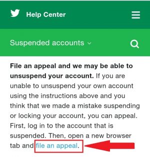 Opsi file an appeal untuk memulihkan akun twitter