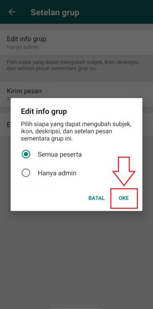 Cara mengubah ikon grup WhatsApp 19 ketuk tombol ok yang ada di bawah