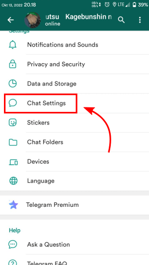 Tampilan menu "Settings" Telegram.  Tab Chat Settings.