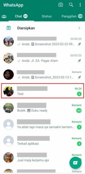Menonaktifkan WhatsApp sementara tanpa mematikan data seluler (Simpel) 76