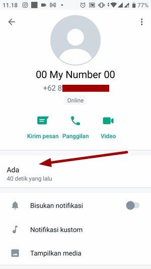 Cara menyembunyikan info di WhatsApp untuk kontak tertentu (tanpa menghapus kontak) 11