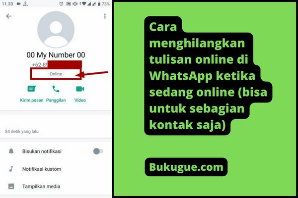 Cara Sembunyikan Tanda Online di WhatsApp (Dari semua orang/kontak tertentu saja)