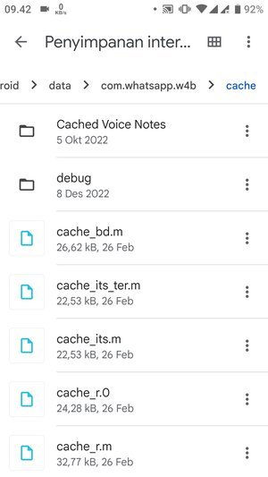 Cara Membersihkan Cache di WhatsApp (Panduan Lengkap Pemula) 37