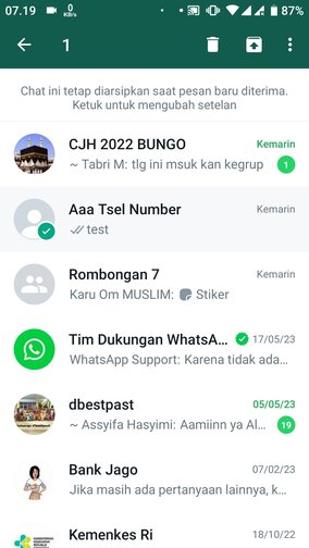Cara membatalkan arsip dan menghilangkan menu 'Diarsipkan' di WhatsApp 19