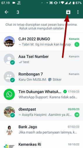 Cara membatalkan arsip dan menghilangkan menu 'Diarsipkan' di WhatsApp 25