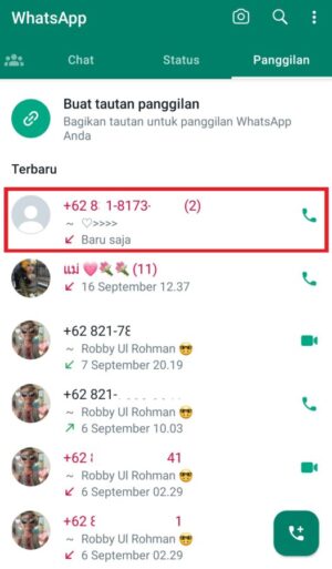 Panggilan tetap tercatat dilog panggilan WhatsApp