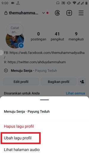 Cara Menambahkan Lagu atau Musik di Bio Instagram (100% Bisa) 12