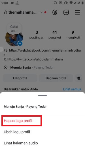 Cara Menambahkan Lagu atau Musik di Bio Instagram (100% Bisa) 18